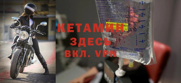 шишки Абаза