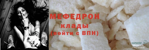 шишки Абаза