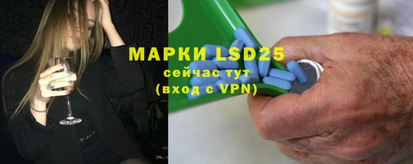 шишки Абаза