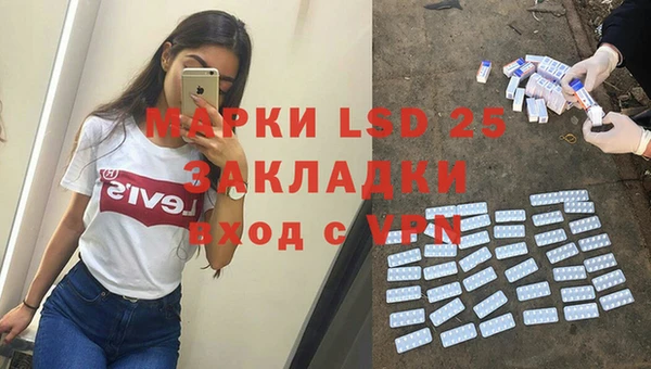 шишки Абаза