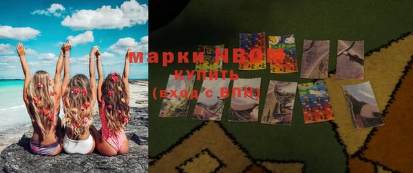 шишки Абаза