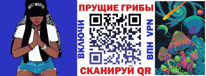 Псилоцибиновые грибы Psilocybe Бавлы